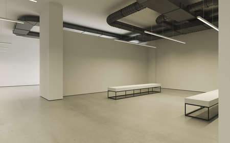 Modern empty minimalistic interior of exhibition with clean walls. Loft design, Art gallery or...