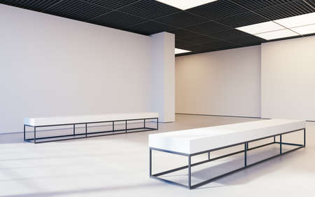 Modern empty minimalistic interior of exhibition with clean walls. Loft design, Art gallery or...
