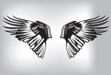Wingのイラスト素材