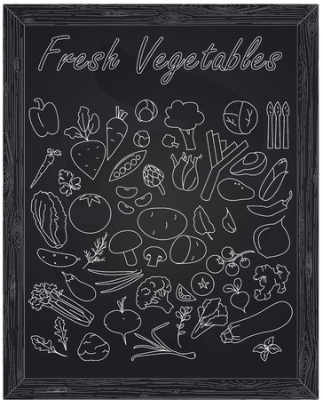 set of fresh ripe vegetables drawn in chalkのイラスト素材