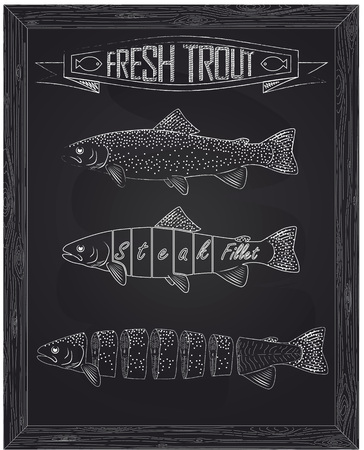 three fresh trout from the scheme drawing in the chalkのイラスト素材