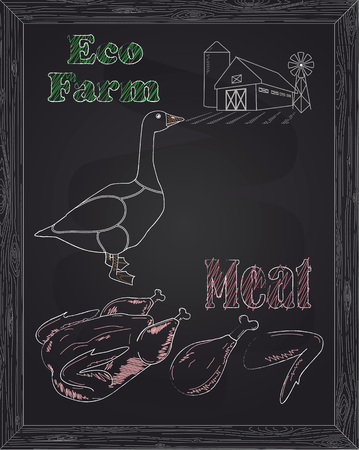 young beautiful goose on a scheme and eco meat drawn with chalkのイラスト素材