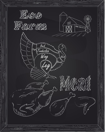 young beautiful goose on a scheme and eco meat drawn with chalkのイラスト素材