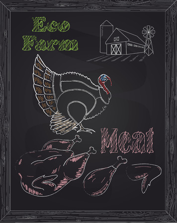young beautiful goose on a scheme and eco meat drawn with chalkのイラスト素材