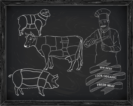 butchering beef diagram, pork, lamb and cook drawn in chalkのイラスト素材