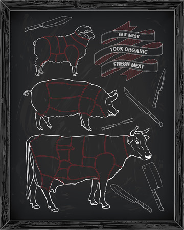 butchering beef diagram, pork, lamb and knife drawn in chalkのイラスト素材
