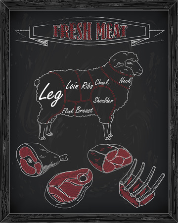 beautiful sheep and cutting meat scheme drawn in chalkのイラスト素材
