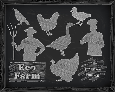 beautiful chicken turkey duck goose quail and farmer with the cook drawn in chalkのイラスト素材