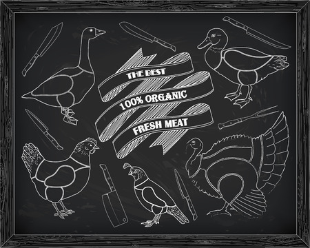 beautiful scheme cutting chicken turkey duck goose quail drawn in chalkのイラスト素材
