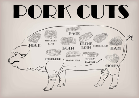 Pork pig side carcass cuts cut parts info graphics scheme sign signboard poster butchers guide back neck feet shoulder butt loin ham. Vector beautiful horizontal closeup black outline beige backgroundのイラスト素材