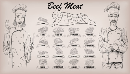 Beef meat carcass cut chops info graphics scheme sign poster butchers shop guide: back neck. Woman and men butcher cook chef portrait. Vector closeup infographics beautiful black linear illustrationのイラスト素材