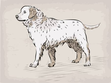 Dog Labrador retriever beautiful serious animal pet hand drawn in pastel colours, black line funny illustration isolated beige background. Vector beautiful design element drawing.のイラスト素材