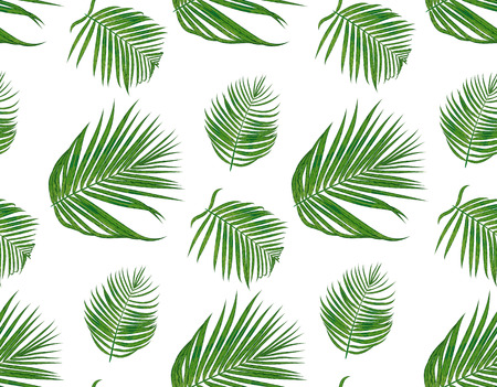 Seamless pattern with areca palm seeded branch, green leaves cute wallpaper watercolor style. Vector boho elegant print isolated on white background. Delicate art templateのイラスト素材