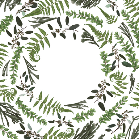 Green vector wreath frame made from twigs and leaves. Forest fern, herbs, eucalyptus, branches boxwood, buxus, brunia, botanical green isolated on white background. For wedding invitations, postcardsのイラスト素材