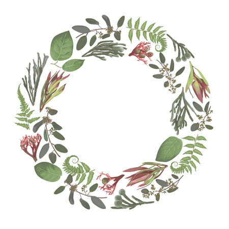 Green vector wreath frame flowers and leaves.Branches, brunia, eucalyptus, leucadendron, gaultheria, salal, jatropha. Botanical green on white background. For wedding invitations, roundのイラスト素材