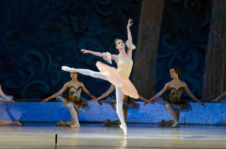DNIPROPETROVSK, UKRAINE - OCTOBER 18: Sleeping beauty ballet performed by Dnipropetrovsk Opera and...