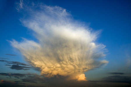 Dramatically illuminated clouds in the evening sky 