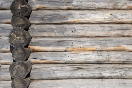 Log house wood texture. Horizontal logs 