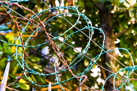 blue and brown barbed wire on the fenceの写真素材