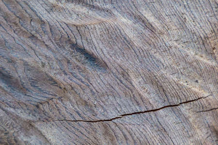 wavy wood texture