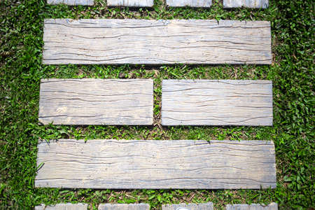 path texture with green grass の写真素材