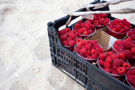 Colorful tasty raspberry in the box for sale on the beach
