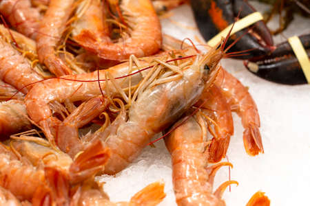 Big fresh natural shrimps on ice. Close up of traditional premium seafoodの写真素材