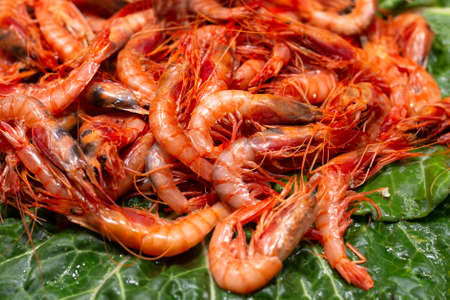 Big fresh natural shrimps on ice. Close up of traditional premium seafood.の写真素材