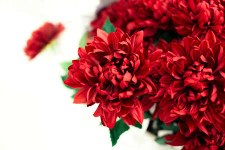 Beautiful red bright chrysanthemums bouquet. Romance, wedding or holiday concept for greeting card,...