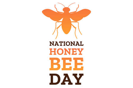 National Honey Bee Day. August 15. Holiday concept. Template for background, banner, card, poster with text inscription.のイラスト素材