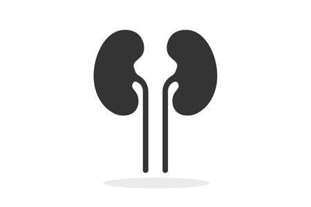 Kidney. Simple icon. Flat style element for graphic design.のイラスト素材
