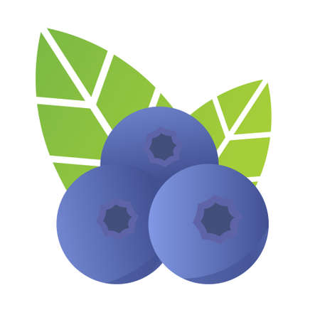Blueberry. Flat style element for graphic design.のイラスト素材
