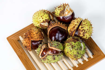 Chestnut on a white background in a skin on a small plank.の写真素材