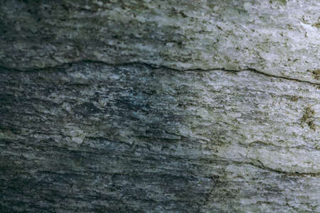 The texture of the salt. Salt wallの写真素材