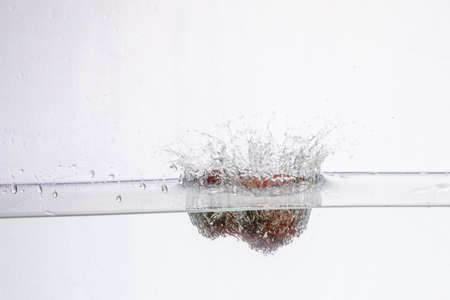 Water Splash Photography: a conifer cone falling in water creating a large splash on a white...