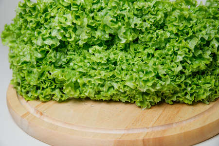 Fresh lettuce salad leaves bunch isolated on white background cutoutの写真素材