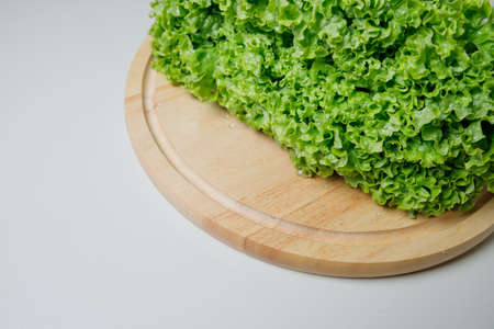 Fresh lettuce salad leaves bunch isolated on white background cutoutの写真素材