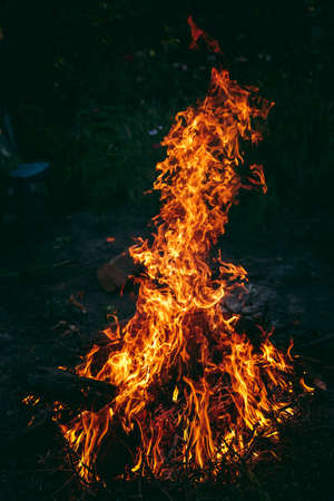 fire in nature . bokeh from the fire . blurred backgrounds . Space views.の写真素材