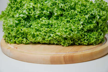 Fresh lettuce salad leaves bunch isolated on white background cutoutの写真素材