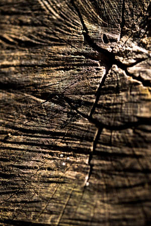 wood texture