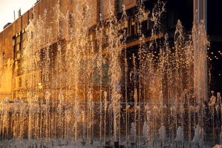 Fountain in the public city park. Sunset in summer.の写真素材