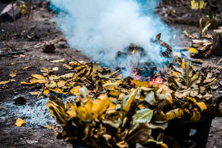 Burning. Autumn bonfire with smoke. Yellow leaves in the smoke.の写真素材
