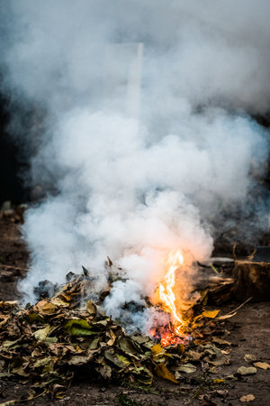 Burning. Autumn bonfire with smoke. Yellow leaves in the smoke.の写真素材