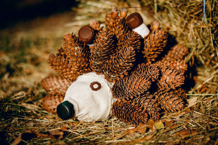 Recycling: a hedgehog and a mushroom made of plastic bottles in a garden. Hedgehog from cones with their own hands.の写真素材