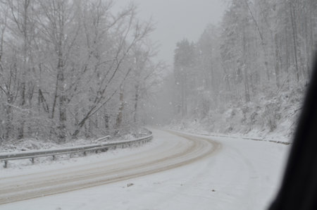 winter landscape on the road with trees in the background and snowfallの写真素材