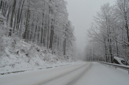 Winter road in the forest. Winter landscape with snow covered trees.の写真素材
