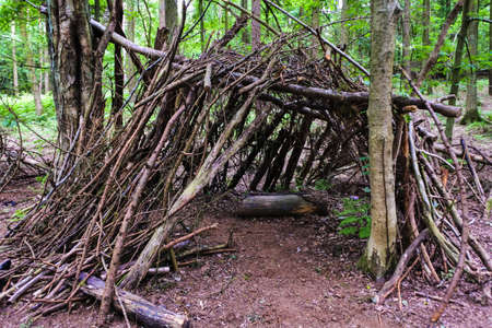 Camping in the wood at Hartshill Hayes Country Park, Nuneaton UKの写真素材