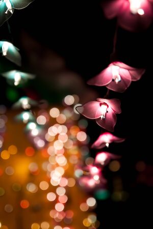 Lanternの写真素材