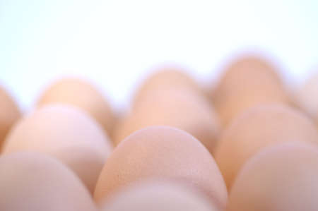 Egg standing.Cardboard Egg Support .の写真素材