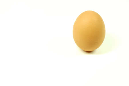 Egg standing.Cardboard Egg Support .